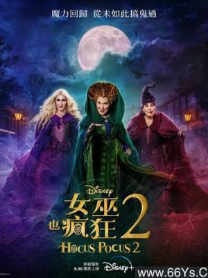 兰陵王妃